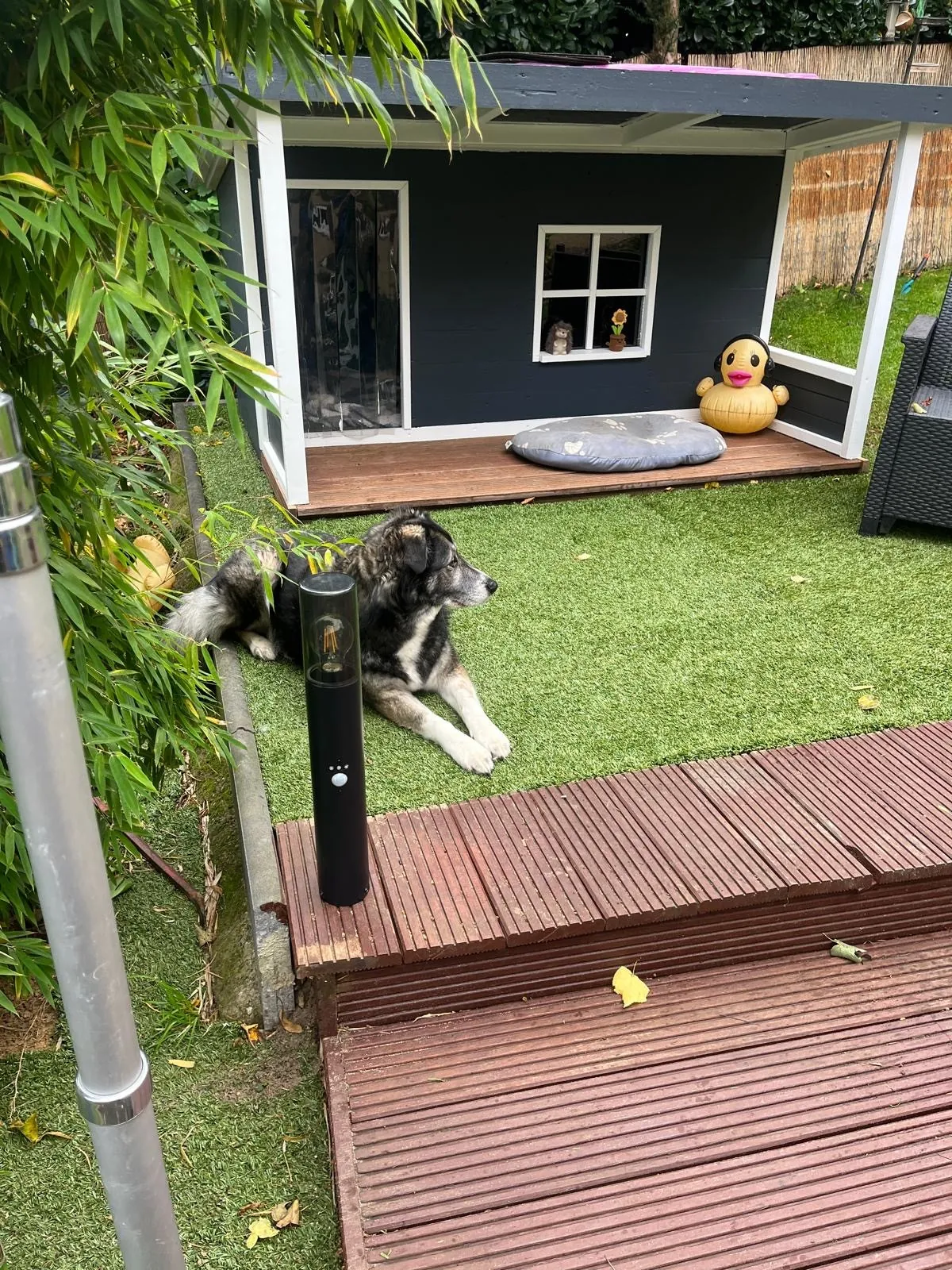 Referenz – Gartenhaus mit Überdachung und Beleuchtung